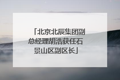 北京北辰集团副总经理胡浩获任石景山区副区长