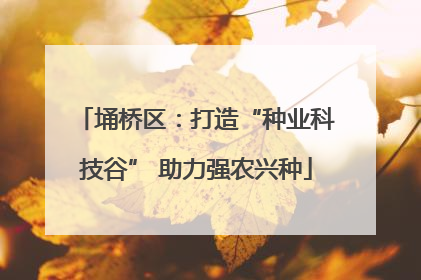 埇桥区：打造“种业科技谷” 助力强农兴种