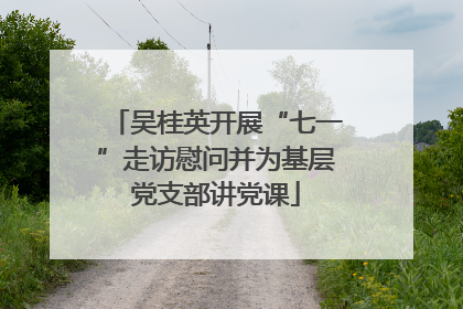 吴桂英开展“七一”走访慰问并为基层党支部讲党课