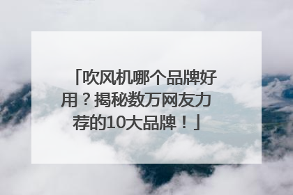 吹风机哪个品牌好用？揭秘数万网友力荐的10大品牌！