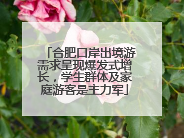 合肥口岸出境游需求呈现爆发式增长，学生群体及家庭游客是主力军