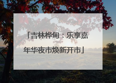 吉林桦甸：乐享嘉年华夜市焕新开市