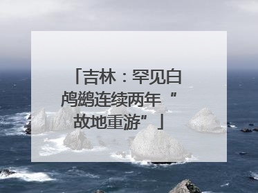 吉林：罕见白鸬鹚连续两年“故地重游”