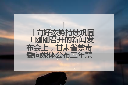 向好态势持续巩固！刚刚召开的新闻发布会上，甘肃省禁毒委向媒体公布三年禁毒工作“成绩单”