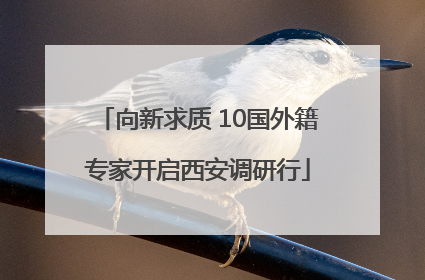 向新求质 10国外籍专家开启西安调研行