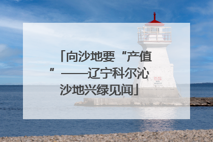 向沙地要“产值”——辽宁科尔沁沙地兴绿见闻