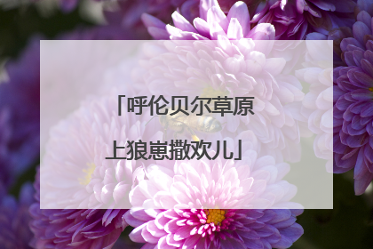 呼伦贝尔草原上狼崽撒欢儿