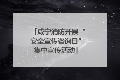 咸宁消防开展“安全宣传咨询日”集中宣传活动