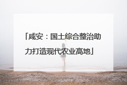 咸安：国土综合整治助力打造现代农业高地