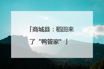 商城县：稻田来了“鸭管家”