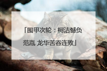 围甲次轮：柯洁憾负范胤 龙华苦吞连败