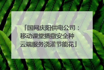 国网庆阳供电公司：移动课堂播撒安全种 云端服务浇灌节能花