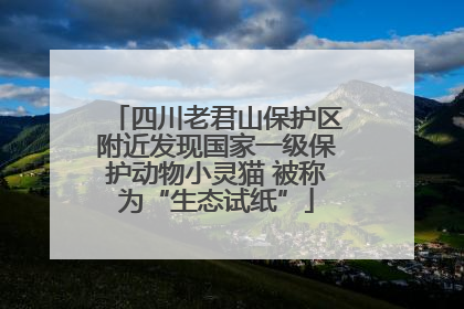 四川老君山保护区附近发现国家一级保护动物小灵猫 被称为“生态试纸”