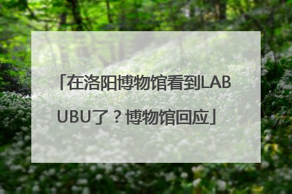 在洛阳博物馆看到LABUBU了？博物馆回应