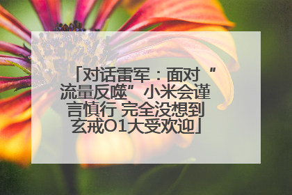 对话雷军：面对“流量反噬”小米会谨言慎行 完全没想到玄戒O1大受欢迎