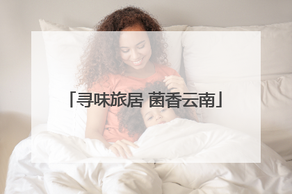 寻味旅居 菌香云南