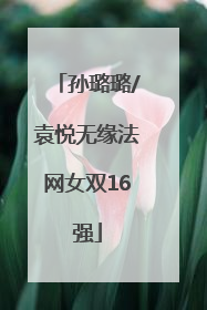 孙璐璐/袁悦无缘法网女双16强