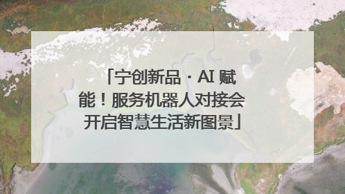 宁创新品・AI 赋能！服务机器人对接会开启智慧生活新图景