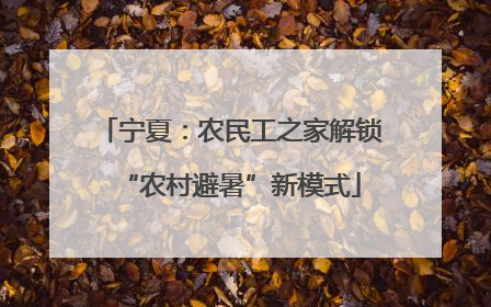 宁夏：农民工之家解锁“农村避暑”新模式