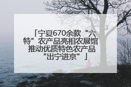 宁夏670余款“六特”农产品亮相农展馆 推动优质特色农产品“出宁进京”