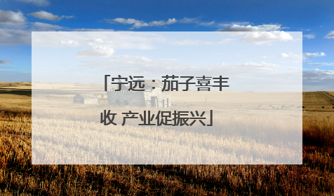 宁远：茄子喜丰收 产业促振兴