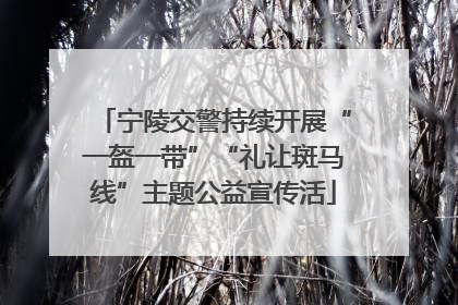 宁陵交警持续开展“一盔一带”“礼让斑马线”主题公益宣传活