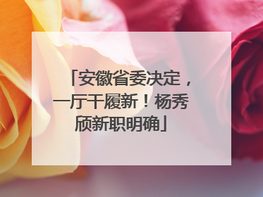安徽省委决定，一厅干履新！杨秀颀新职明确