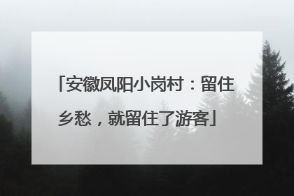 安徽凤阳小岗村：留住乡愁，就留住了游客