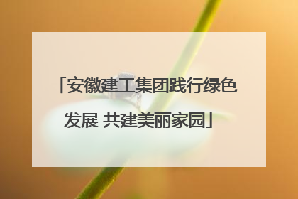 安徽建工集团践行绿色发展 共建美丽家园