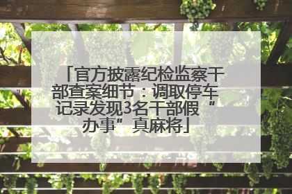 官方披露纪检监察干部查案细节：调取停车记录发现3名干部假“办事”真麻将