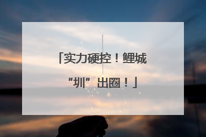 实力硬控！鲤城“圳”出圈！