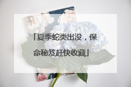 夏季蛇类出没，保命秘笈赶快收藏