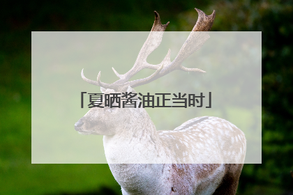 夏晒酱油正当时