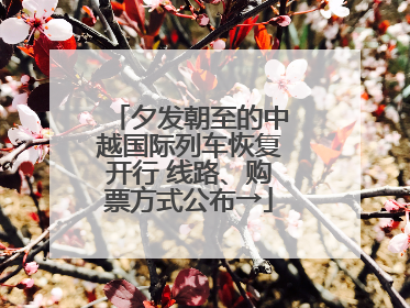 夕发朝至的中越国际列车恢复开行 线路、购票方式公布→