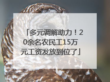 多元调解助力！20余名农民工15万元工资发放到位了