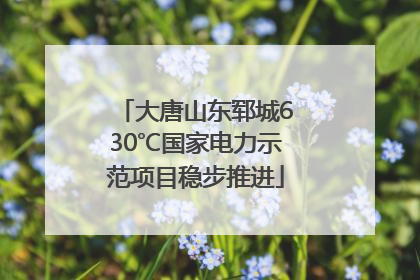 大唐山东郓城630℃国家电力示范项目稳步推进