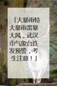大暴雨特大暴雨雷暴大风，武汉市气象台连发预警，考生注意！