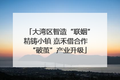 大湾区智造“联姻”精铸小镇 嘉禾借合作“破茧”产业升级