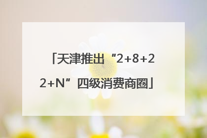 天津推出“2+8+22+N”四级消费商圈