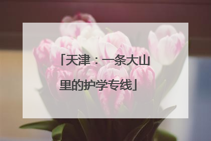 天津：一条大山里的护学专线