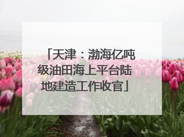 天津：渤海亿吨级油田海上平台陆地建造工作收官