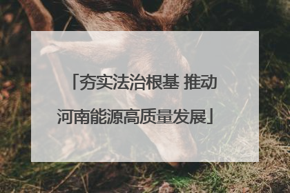 夯实法治根基 推动河南能源高质量发展