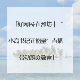好网民·在潍坊｜“小高书记正能量”直播 带动群众致富