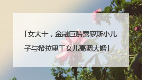 女大十，金融巨鳄索罗斯小儿子与希拉里干女儿高调大婚