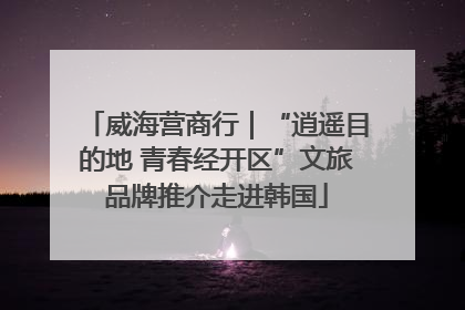 威海营商行｜“逍遥目的地 青春经开区”文旅品牌推介走进韩国