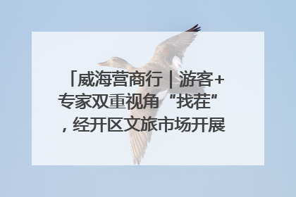 威海营商行｜游客+专家双重视角“找茬”，经开区文旅市场开展暑期前“体检”