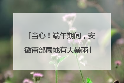 当心！端午期间，安徽南部局地有大暴雨