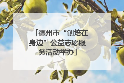 德州市“创培在身边”公益志愿服务活动举办