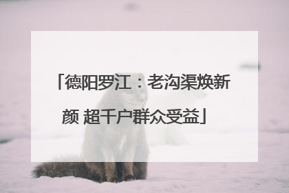 德阳罗江：老沟渠焕新颜 超千户群众受益