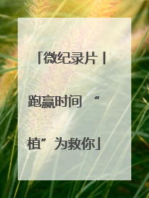 微纪录片丨跑赢时间 “植”为救你